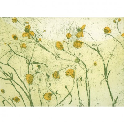 Buttercups