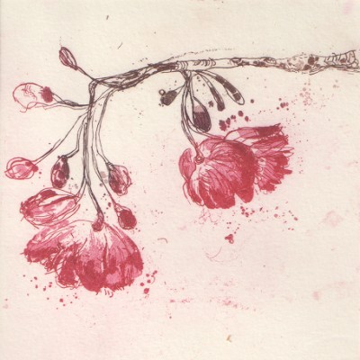 Sakura (cherry blossom)