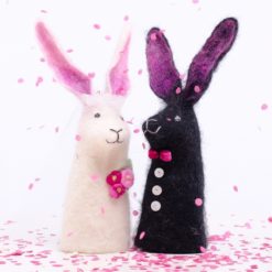 Wedding rabbits with confetti