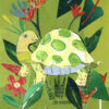 Little turtle