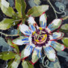 Passion flower