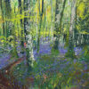 Bluebell woods
